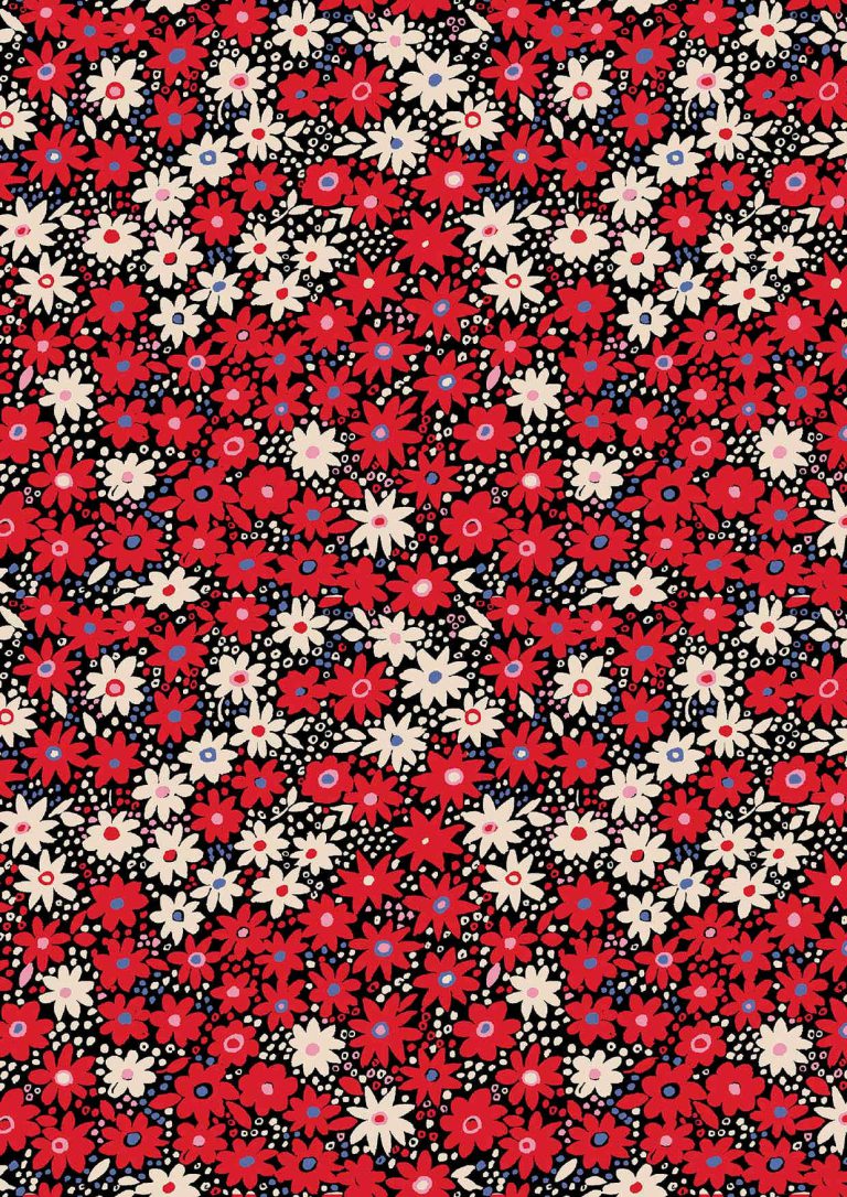 Raspberry_Shake_02