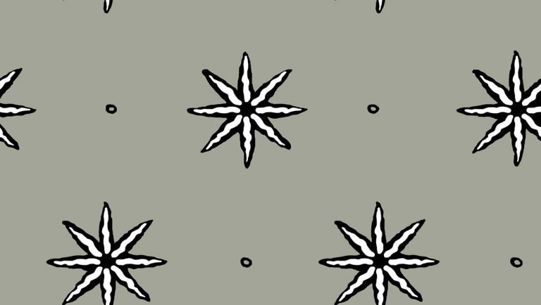 Tara_Star_01
